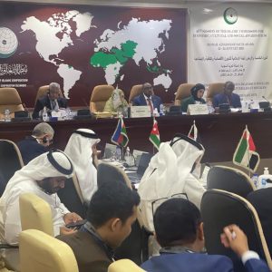 ICYF Delegation Led By President H.E. Taha Ayhan Participated In 45th (ICECS) session